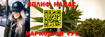 спиды Заводоуковск