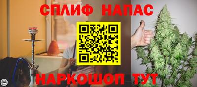 спиды Заводоуковск