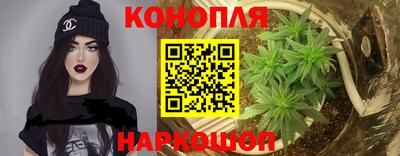 спиды Заводоуковск