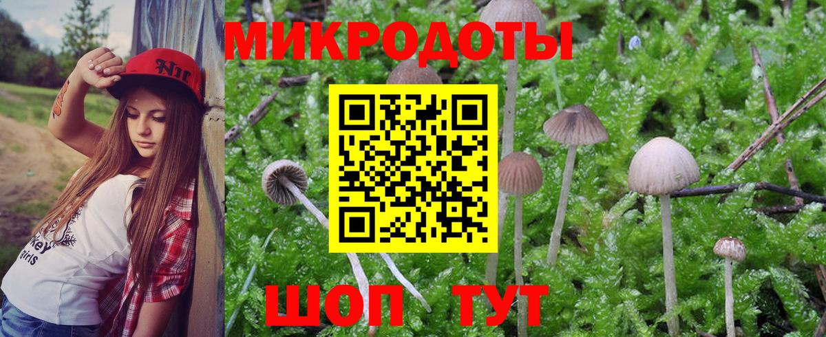 Галлюциногенные грибы GOLDEN TEACHER  Вход с VPN  Майский 